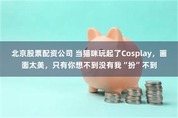 北京股票配资公司 当猫咪玩起了Cosplay，画面太美，只有你想不到没有我“扮”不到