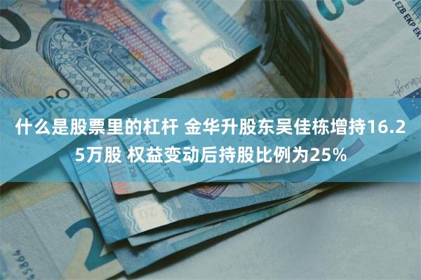 什么是股票里的杠杆 金华升股东吴佳栋增持16.25万股 权益变动后持股比例为25%