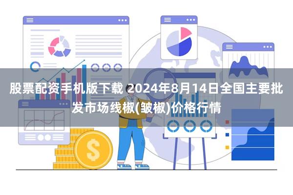 股票配资手机版下载 2024年8月14日全国主要批发市场线椒(皱椒)价格行情