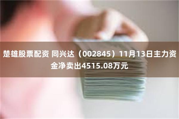 楚雄股票配资 同兴达（002845）11月13日主力资金净卖出4515.08万元