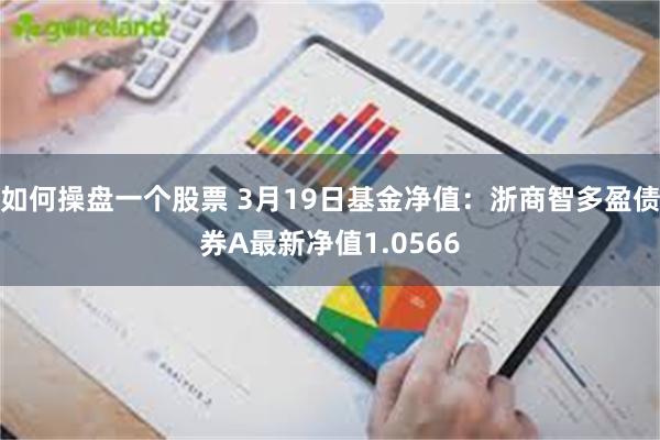 如何操盘一个股票 3月19日基金净值：浙商智多盈债券A最新净值1.0566